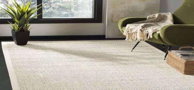 What Makes Sisal Rugs Stand Out Among Other Flooring Options